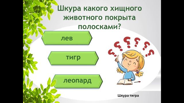 Викторина о природе