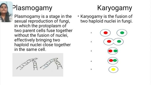 Asst.Prof.M.S.Vanjare: Fungal Systematics-Basidiomycota(MSc-I Microbiology MBTE11) Lec: 03 смотреть онлайн