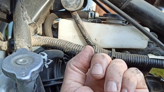 "Лидер" из Китая на 150 кубов