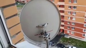 Самостоятельная перенастройка Телекарта тв с 80 на 85 градус