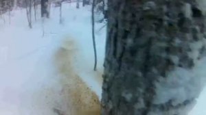 Валка леса бензопилой. Вальщик 80 lvl.