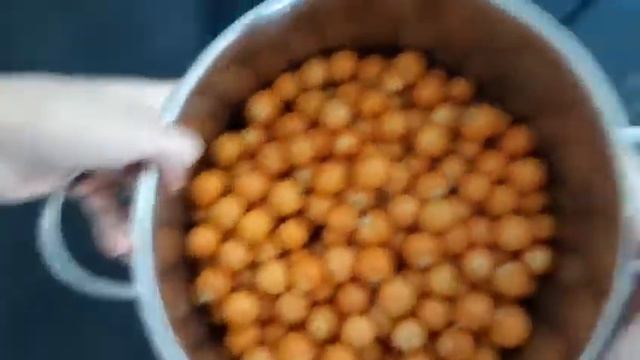 Physalis Marmelade 1 смотреть онлайн