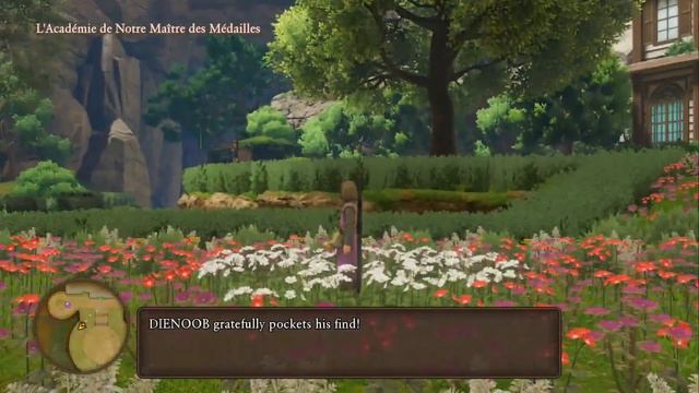 Dragon Quest XI Memorable Mystery Side Quest Guide смотреть онлайн