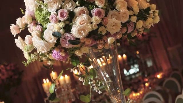 Presentazione Magnolia смотреть онлайн