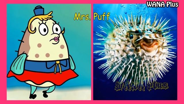 SpongeBob SquarePants In Real Life ?@WANAPlus смотреть онлайн