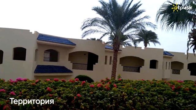 Grand Oasis Resort 4*, Египет, Шарм эль Шейх, ✈ обзор, отзывы смотреть онлайн