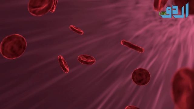 What Happens To⁬ Your Body If You Eat 1 Jambolan (Java Plum, Jamun) In A Year Then Urdu Hindi смотреть онлайн