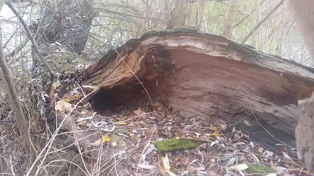 Опасливые, недоверчивые... смотреть онлайн