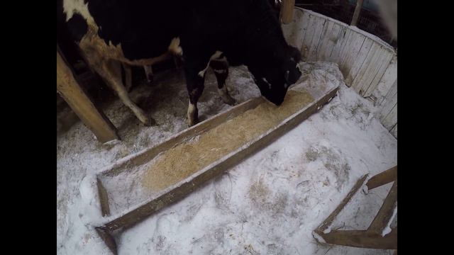 Быки смотреть онлайн
