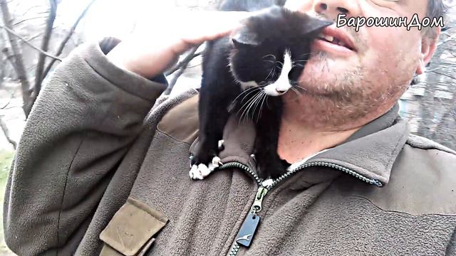 Как разместили котят. Прогулка раеном Киева и покупки в магазинах. Как кормили уличных бездомышей смотреть онлайн