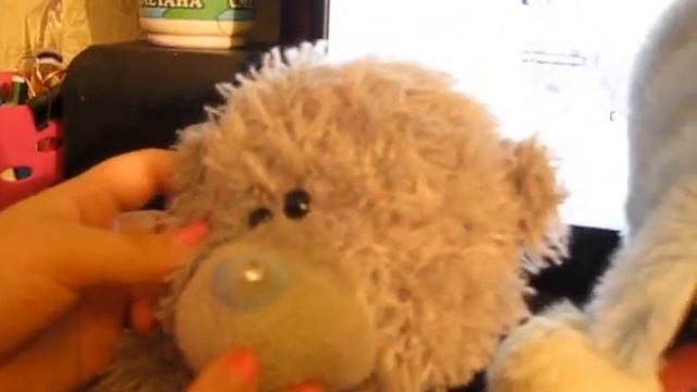 Сравнение мишек Тедди смотреть онлайн