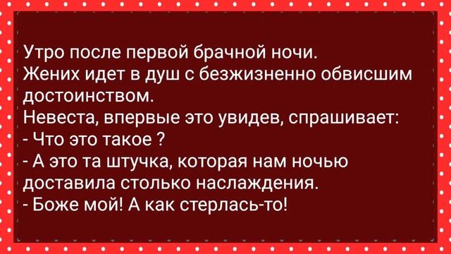 Пришел Турист к Чукче в Гости! Сборник свежих Анекдотов! Юмор! смотреть онлайн