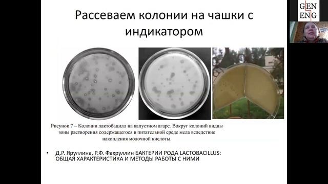 Вебинар 3. Молочнокислые бактерии смотреть онлайн