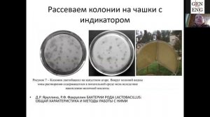 Вебинар 3. Молочнокислые бактерии