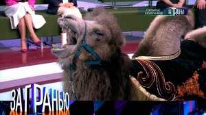 «За гранью»: «Горбатые разлучники»  | Выпуск от 4 марта 2024 года