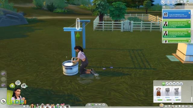 AGING UP #13 - Unusual Suspects - Wolf Pack Challenge - The Sims 4 Cats and Dogs смотреть онлайн
