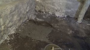 Дезинфекция сарая | белим стены высокоактивной известью | приводим в порядок сарай