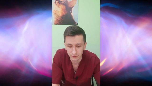 Послеродовой дефицит кальция у собак смотреть онлайн