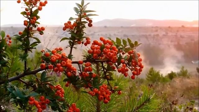 крым картинки осени смотреть онлайн