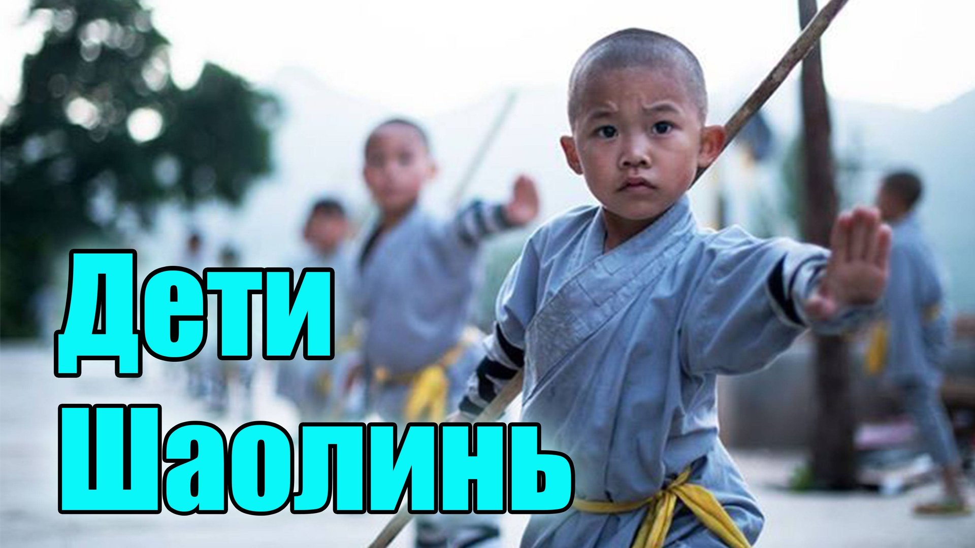 Дети Шаолинь..Искусство духа. смотреть онлайн