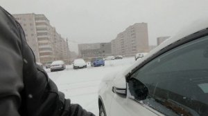 Один день из жизни Русского той терьера. Большой собаковлог.