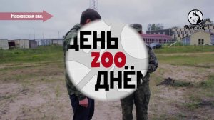 День Zoo днем. Соревнования таможенников