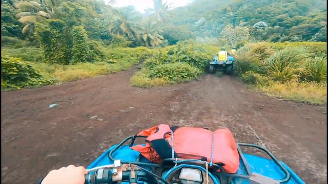 Adventures in Rarotonga | Cook Islands смотреть онлайн