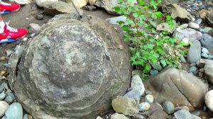 ДОЛИНА АММОНИТОВ