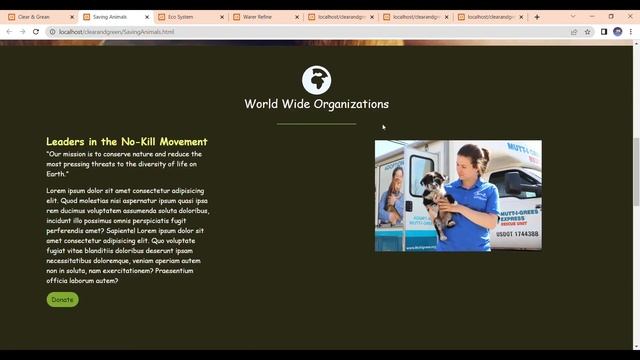 Clear and Green web. site html+css+mysql data base +php second year смотреть онлайн