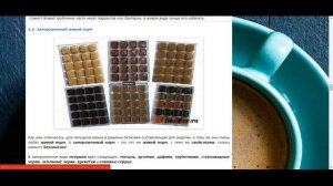 Как часто и чем кормить рыбок петушков? Правила кормления и рекомендации специалистов