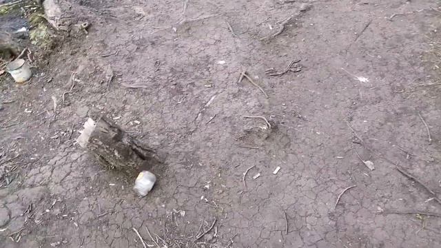 Карп и Белый Амур - Рыбалка Коянды смотреть онлайн