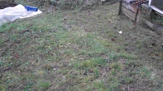 укрываю грядки// маленькие планы на весну смотреть онлайн