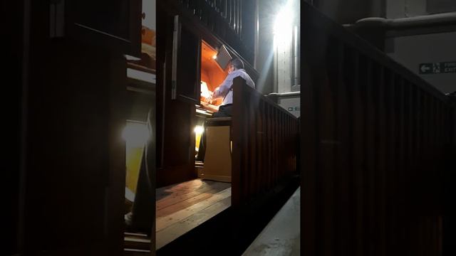 Pt. 2. Organ music by Alan Briggs CHRISTMAS TREE FESTIVAL from Pleasington Priory, Lancashire 2019 смотреть онлайн