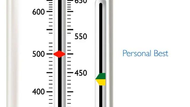 PersonalBest Peak Flow Meter - Instructions for use смотреть онлайн
