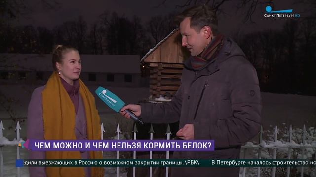 Чем кормить белок зимой? Безопасные и вкусные угощения смотреть онлайн