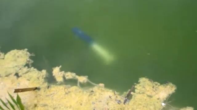 Dumas Akula submarine after some upgrades смотреть онлайн