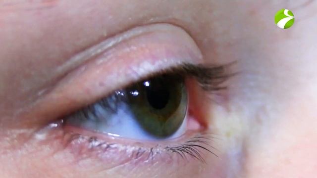 Как на севере защищались от солнца. Солнцезащитные очки. История создания | Факты смотреть онлайн