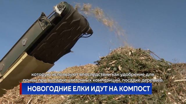 Новогодние елки идут на компост смотреть онлайн