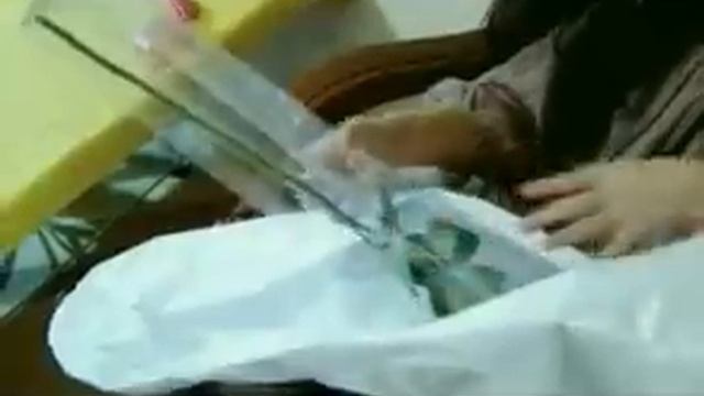 Elnur Memmedov & Aysel Əlizadə - Ürək Ağlasın ( Klip ) смотреть онлайн