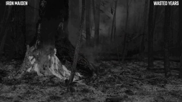 Iron Maiden - Wasted Years (LYRICS)