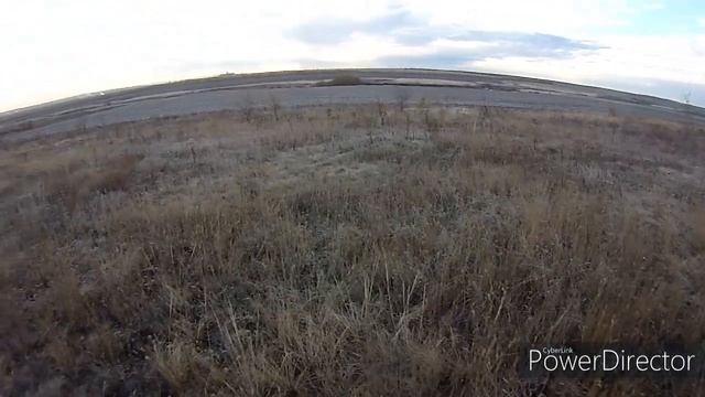 Охота по чернотропу. Где искать зайца осенью после мороза. Охота с гончей. Сезон охоты 2022 смотреть онлайн