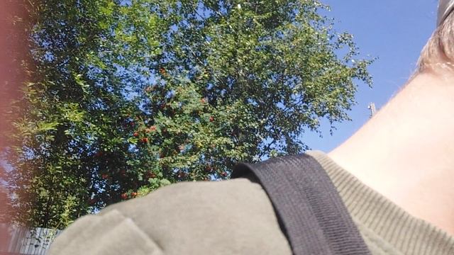 мы на тренировке смотреть онлайн