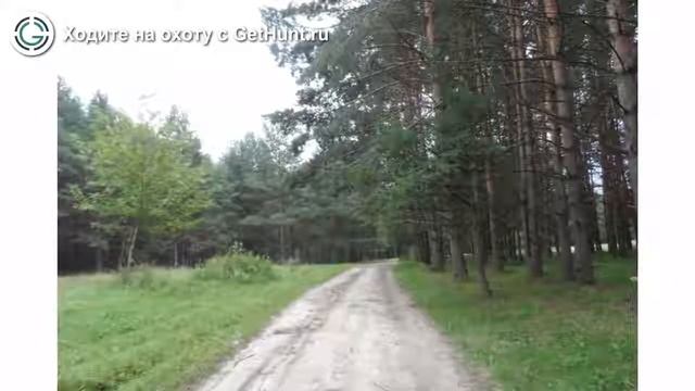 Охота в Рязанской области – Рязанское ОООиР Касимовское районное отделение охота на лося смотреть онлайн