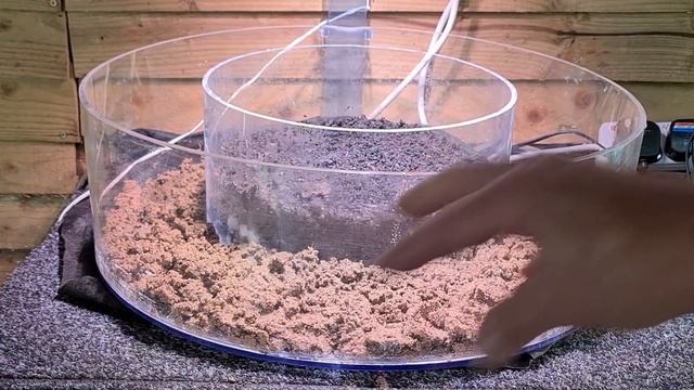 Crab Island Aquarium. Must watch смотреть онлайн