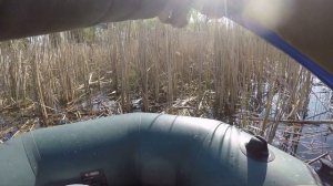 Карась на боковой кивок. Ловля карася весной.