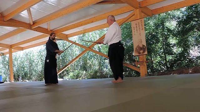 Стефан Бенедетти вход ирими,айкикен 2. смотреть онлайн