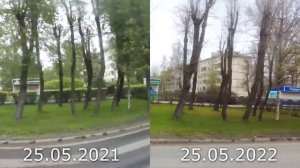 Северодвинск 25 мая 2021 и 2022 года. Сравнение.  Какая погода была в этот день в Северодвинске