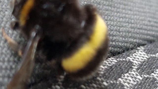 Секреты Природы