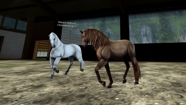 SSO Lusitano VS Lipizzan - Dressage Battle смотреть онлайн