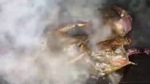 Рецепт приготовления дикого голубя (вяхирь, витютень) под сливочно-перечным соусом в белом вине.